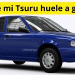 ¿Por qué mi Tsuru huele a gasolina? Causas, riesgos y cómo solucionarlo